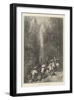 Sketches in Formosa, in a Bamboo Forest-Amedee Forestier-Framed Giclee Print