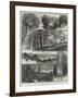 Sketches in Highgate Woods-William Henry James Boot-Framed Giclee Print
