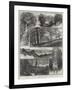 Sketches in Highgate Woods-William Henry James Boot-Framed Giclee Print