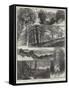 Sketches in Highgate Woods-William Henry James Boot-Framed Stretched Canvas