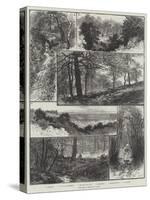 Sketches in Highgate Woods-William Henry James Boot-Stretched Canvas