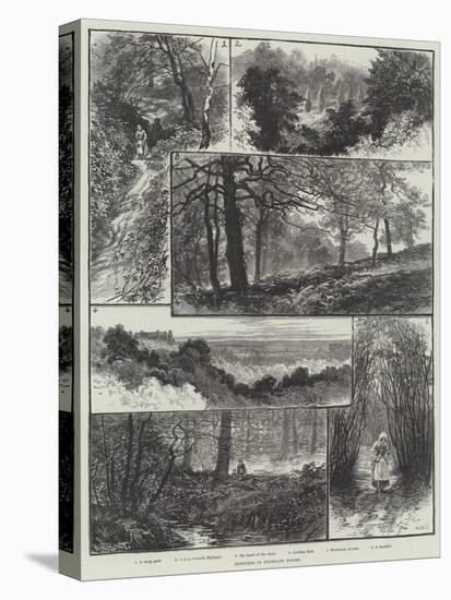 Sketches in Highgate Woods-William Henry James Boot-Stretched Canvas