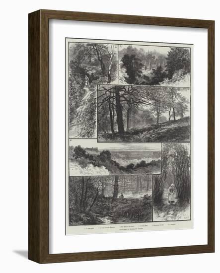 Sketches in Highgate Woods-William Henry James Boot-Framed Giclee Print