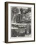 Sketches in Highgate Woods-William Henry James Boot-Framed Giclee Print