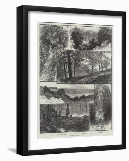 Sketches in Highgate Woods-William Henry James Boot-Framed Giclee Print