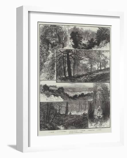 Sketches in Highgate Woods-William Henry James Boot-Framed Giclee Print