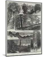 Sketches in Highgate Woods-William Henry James Boot-Mounted Giclee Print