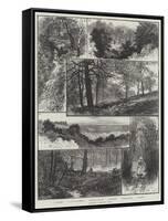 Sketches in Highgate Woods-William Henry James Boot-Framed Stretched Canvas