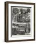 Sketches in Highgate Woods-William Henry James Boot-Framed Premium Giclee Print