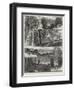 Sketches in Highgate Woods-William Henry James Boot-Framed Premium Giclee Print