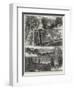 Sketches in Highgate Woods-William Henry James Boot-Framed Premium Giclee Print