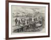 Sketches in Iceland, Landing Dried Cod at Reykjavik-L. Huard-Framed Giclee Print