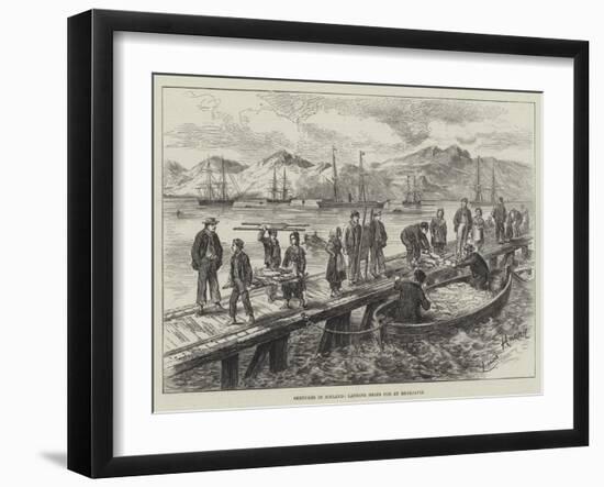 Sketches in Iceland, Landing Dried Cod at Reykjavik-L. Huard-Framed Giclee Print