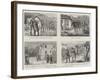 Sketches in Ireland-null-Framed Giclee Print