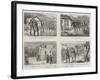 Sketches in Ireland-null-Framed Giclee Print
