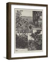 Sketches in Lower California, a Fruitful Land-Richard Caton Woodville II-Framed Giclee Print