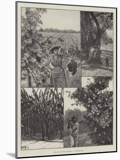 Sketches in Lower California, a Fruitful Land-Richard Caton Woodville II-Mounted Giclee Print