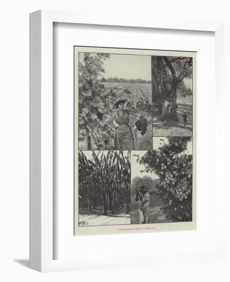 Sketches in Lower California, a Fruitful Land-Richard Caton Woodville II-Framed Giclee Print