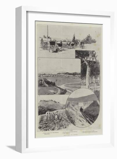 Sketches in Natal-Joseph Holland Tringham-Framed Giclee Print