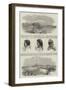 Sketches in New Zealand-null-Framed Giclee Print