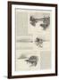Sketches in Siam-Charles Auguste Loye-Framed Giclee Print