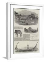 Sketches in Siam-null-Framed Giclee Print