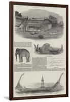 Sketches in Siam-null-Framed Giclee Print