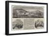 Sketches in Tangier-null-Framed Giclee Print