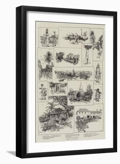 Sketches in the Bahamas-Amedee Forestier-Framed Premium Giclee Print