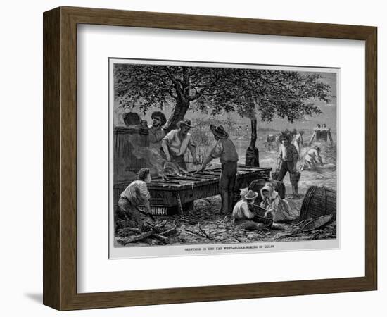 Sketches in the far West-Sugar Making in Texas.-null-Framed Giclee Print