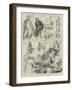 Sketches in the House of Commons, Question Time-null-Framed Giclee Print