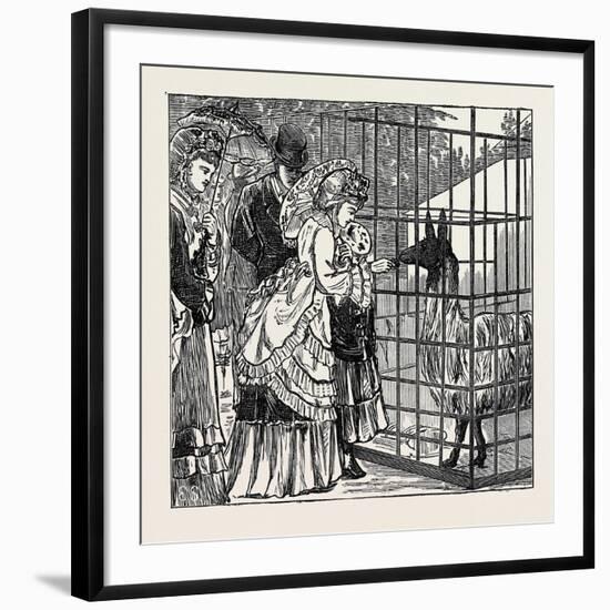 Sketches in the International Exhibition: the Llama 1871-null-Framed Giclee Print