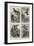 Sketches in the Natural History Museum, South Kensington-null-Framed Giclee Print