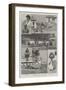 Sketches in the Northern Provinces of Brazil-Amedee Forestier-Framed Giclee Print