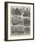 Sketches in the Solomon Islands-null-Framed Giclee Print