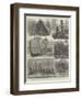 Sketches in the Solomon Islands-null-Framed Giclee Print