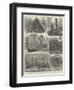 Sketches in the Solomon Islands-null-Framed Giclee Print