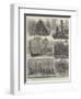 Sketches in the Solomon Islands-null-Framed Giclee Print