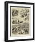 Sketches in the Territories of the United States, II-null-Framed Giclee Print