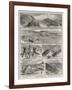 Sketches of a Cruise to Alaska-null-Framed Giclee Print