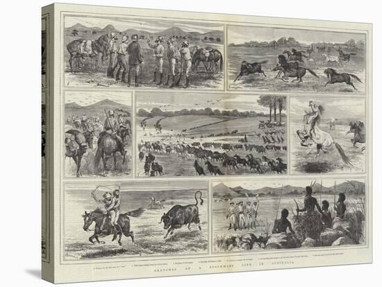 Sketches of a Stockman's Life in Australia-Alfred Courbould-Stretched Canvas