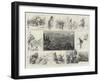 Sketches of a Trip to Norway, after Reindeer-Amedee Forestier-Framed Giclee Print