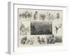 Sketches of a Trip to Norway, after Reindeer-Amedee Forestier-Framed Giclee Print