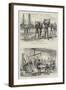 Sketches of African Travel-null-Framed Giclee Print