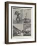 Sketches of Arizona and South California-null-Framed Giclee Print