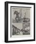 Sketches of Arizona and South California-null-Framed Giclee Print