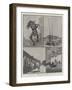 Sketches of Arizona and South California-null-Framed Giclee Print