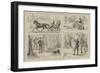 Sketches of Canadian Sport-null-Framed Giclee Print