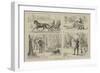 Sketches of Canadian Sport-null-Framed Giclee Print