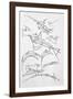 Sketches of Flying Machines-Leonardo da Vinci-Framed Photographic Print